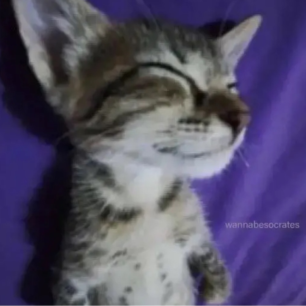 Meet your Posher, Lila.69